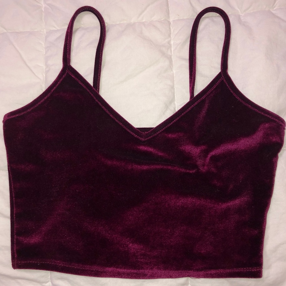 Fashion Nova Purple Velvet Crop Tank Top
